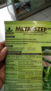 METARIZEP WP MICROBIAL INSECTICIDE PEMBASMI WERENG COKELATWALANG SANGITKUTU DAUN DAN THRIPS