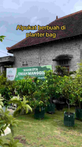 Easy Grow Planter Bag 45 Liter