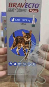 [Siêu Sale Tết] Nhỏ gáy BRAVECTO CAT PLUS Xổ Giun sạch Ve Rận Bọ Chét Nội Ngoại Kí sinh trùng cho Mèo_Shop__24H