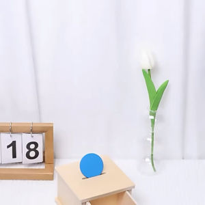 Montessori Wooden Coin Box for kids