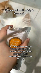 CATNIP CATMIN POWDER CAMILAN SERBUK KUCING