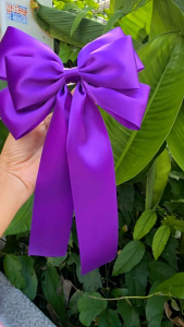 โบว์นักเรียนขนาดใหญ่ สำหรับเด็กมัธยม โบว์2แฉก2ชั้น(ไม่อนุญาตให้นำรูปไปใช้)