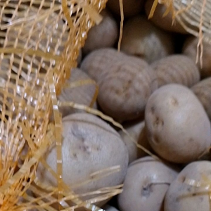 KENTANG DIENG SEGAR 1kg /500gr