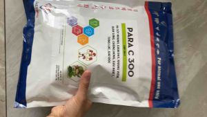 PARA C 300 (1kg) daeyong hạ sốt nhanh giảm đau kháng viêm tăng lực nâng đề kháng cho gia súc gia cầm