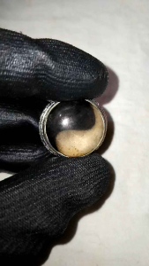 cincin dgn batu/fosil kelor