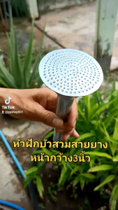 ผลิตภัณฑ์ล้างรถ - หัวฝักบัวสวมสายยาง หัวฝักบัวรดน้ำ หัวฝักบัวรดผัก รดน้ำต้นไม้