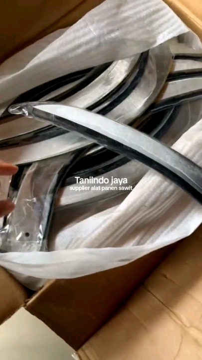 Natalya Gulkina seksual fotosurat