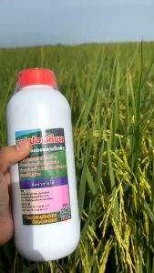 ซุปเปอร์เตียน 2 ขวด ย่อยสลายฟาง ย่อยสลายเม็ดวัชพืช และปรับปรุงดิน