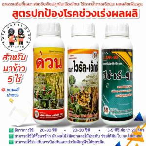 ตราเงาะคู่ ด่วน ไวรัลเอ็กซ์ ซีซ่าร์90 (ชุด 3 ขวด) ฮอร์โมนข้าวโต เร่งหวาน กันโทรม