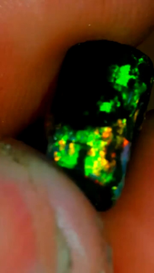 kalimaya banten ukuran sedang isi 8 pics bahan kualitas grade A bagus padat dan keras