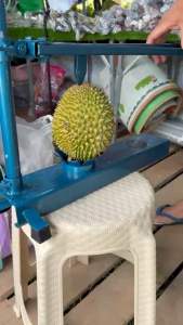 DENA การเกษตร ที่ปลอกทุเรียน วัสดุทำจากเหล็ก แข็งแรงทนทาน มี 2 สีให้เลือก สินค้าพร้อมส่งในไทน 2-4 วัน