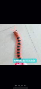 Rết điều khiển từ xa