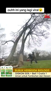 Kill grass herbisida bubuk pembasmi gulma lebih efektif beli 1 gratis 1