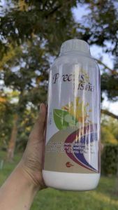 คีเลต พรีคัส แมกนีเซียม+โพแทสเซียม 1 ลิตร คอรีท เร่งปฏิกิริยาการสังเคราะห์แสงให้พืช ใบเขียวเข้ม 1 ลิตร