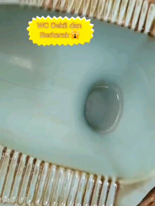 GO KERAK ASLI PEMBERSIH KAMAR MANDI