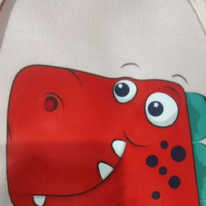 Jaket Dino Anak Perempuan Laki Laki Umur 2 - 12 Tahun/Hoodie Anak Perempuan Terbaru 2023/Hoodie Dino