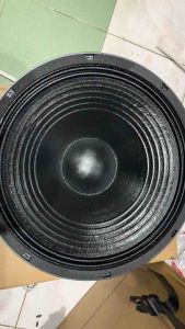 Tsunami Storm 15: A Comprehensive Guide to the 15 Inch Dual Magnet 65mm V.Coil 700W Speaker