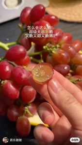 China Premium Ruby Princess Seedless Red Grapes | Sweet Crisp & Juicy | Fresh Imported Fruit With Gift Box