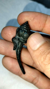 Patung kembang wijaya kusuma warna hitam origin