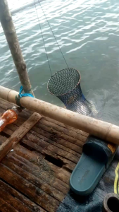 Essen umpan satu paket Essen bandulpaket Essen umpan dan Essen bandulEssen aroma pilihan untuk memancing ikanEssen pilihan terbaik satu paket Essen umpan dan Essen bandulEssen paling jituEssen paling topEssen paling bagusEssen oplosan aroma amis