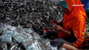 Terasi udang terasi udang selok jaya 250 gram original khas juana kualitas terjamin