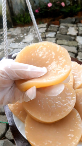 Trà Jun Kombucha (Champagne của Kombucha)