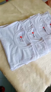 KENTUCKY PLAIN WHITE TSHIRTS FOR KIDS SCHOOL COTTON