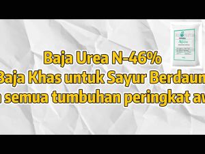 Baja Urea 46%, Baja paksa daun,Rumput Tanaman Sayur Berdaun dan Bunga