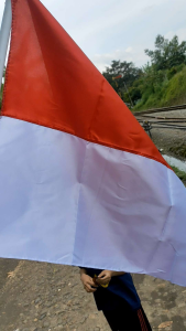 Bendera Palestina Ukuran 80x120 | Bendera Indonesia