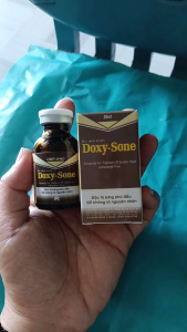 Doxy- Sone trị sưng phù đầu sốt bỏ ăn không rõ nguyên nhân tụ huyết trùng thương hàn chai 20 ml.