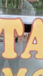 Gerobak besi serba guna