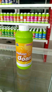 แมมมอท ฮอลท์ ธาตุอาหารรองแคลเซียม คีเลท ธาตุอาหารเสริมพืช ฮอร์โมนพืช #เทพวัฒนา (หยุดใบอ่อน เร่งใบแก่ ทำให้ใบหนา) │เทพวัฒนา ตราปลาคู่│