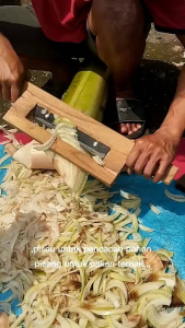 Alat Pencacah Gedebog Pisang Untuk Pakan Ternak