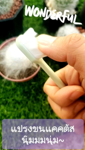 แปรง แคคตัส กระบองเพชร แปรงทำความสะอาดขน ขนนุ่มแน่น ละเอียด ไม่เกี่ยวหนาม