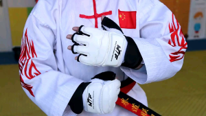 Sarung Tangan & kaki Pelindung Olahraga Taekwondo Beladiri Hand Foot Gloves Protector
