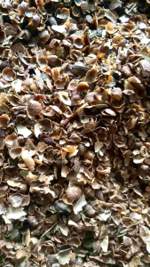 angkup kelopak cengkeh 1kg kering.