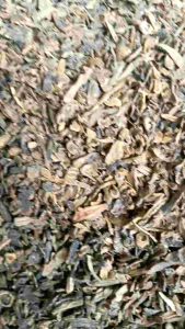 Cengkeh Manado Timbunan 3 Tahun 1 Kg Kering