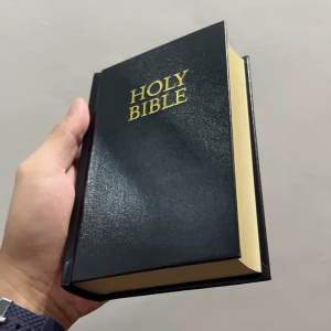 Handy size (small size) Bible KJV