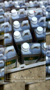 Go Amonia: Penghilang Bau Amonia Kandang Ternak & Bau Busuk Lainnya