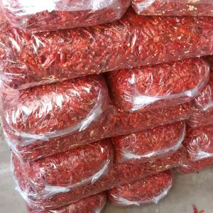 cabai rawit kering teja 5Kg impor india kualitas bagus super pedas