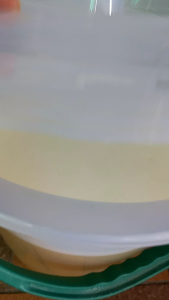 Biodegradable Dish washing made from real lemon