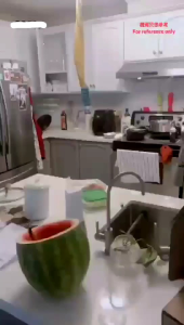 强力无毒粘蝇卷 (4盒16个)