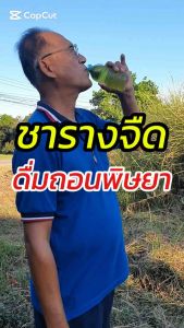 ชารางจืด ล้างสารตกค้าง ดื่มเพื่อสุขภาพ ตราทองหลวง