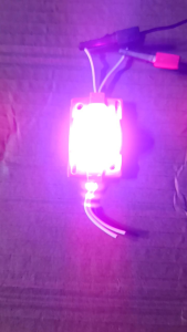 Lampu LED Alis Roda Super Terang PINK 12V