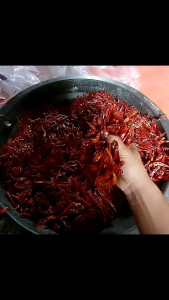 2Kg /Cabe Rawit Teja Japlak GradeA Cabai Rawit Kering Impor Super Pedas