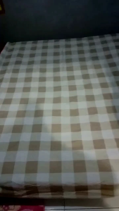 Sprei Kotak kotak Ukuran 120x200 180x200 1 set Dengan Sarung Bantal dan Guling Sprei Aesthetic korea