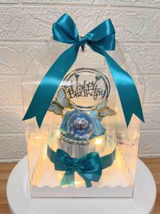 เค้กเงิน เค้กใส่เงินสดเองขนาด 15-16ใบ เป็นของขวัญในโอกาสต่างๆ