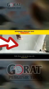 goRat pembasmi pengusir alami tikus curut kecoa rumah dapur mobil furniture spray tidak beracun ramah lingkungan aman tidak berbau paling ampuh