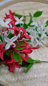 ช่อดอกเข็ม ดอกไม้ดินประดิษฐ์ - ดอกไม้เสียบผม ช่อดอกเข็ม