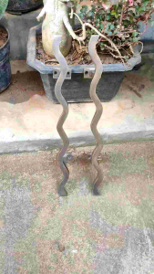 Handle Pintu Rumah Kuningan Antik Motif Longkek 31 cm 2 Pcs